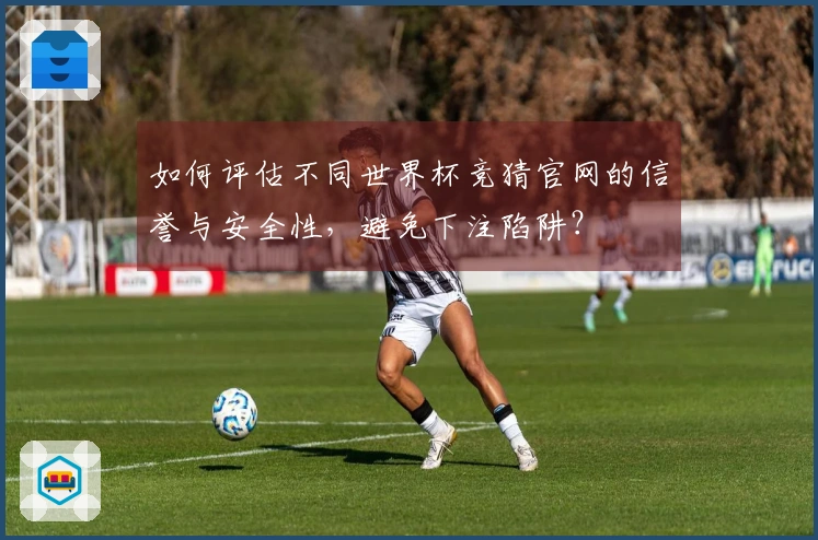 如何评估不同世界杯竞猜官网的信誉与安全性，避免下注陷阱？