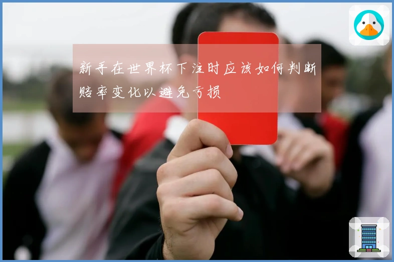 新手在世界杯下注时应该如何判断赔率变化以避免亏损