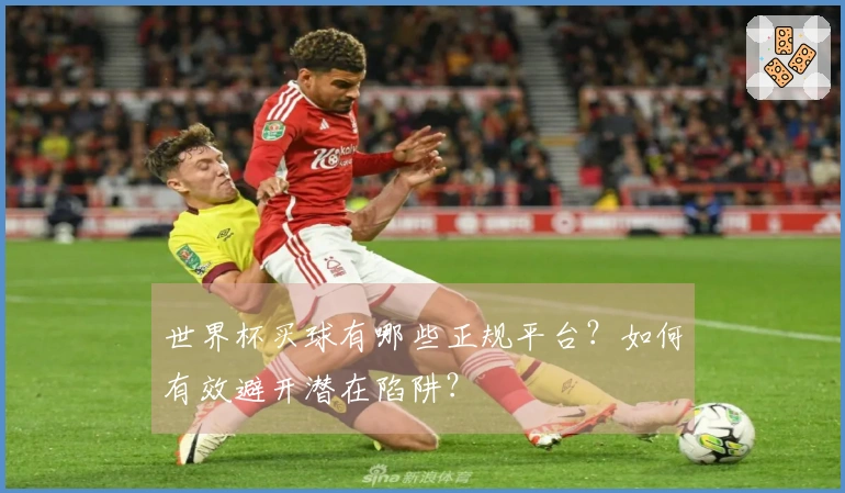 世界杯买球有哪些正规平台？如何有效避开潜在陷阱？