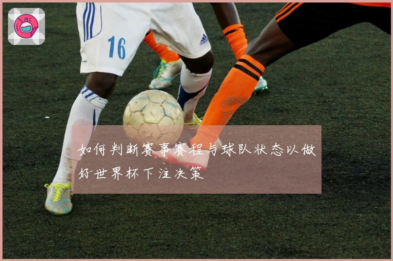 如何判断赛事赛程与球队状态以做好世界杯下注决策