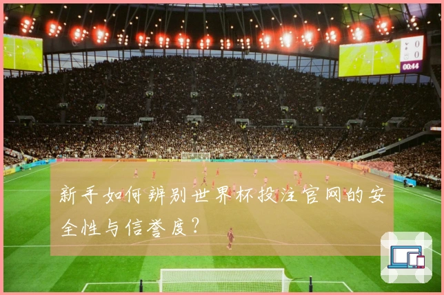 新手如何辨别世界杯投注官网的安全性与信誉度？