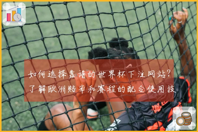 如何选择靠谱的世界杯下注网站？了解欧洲赔率和赛程的配合使用技巧
