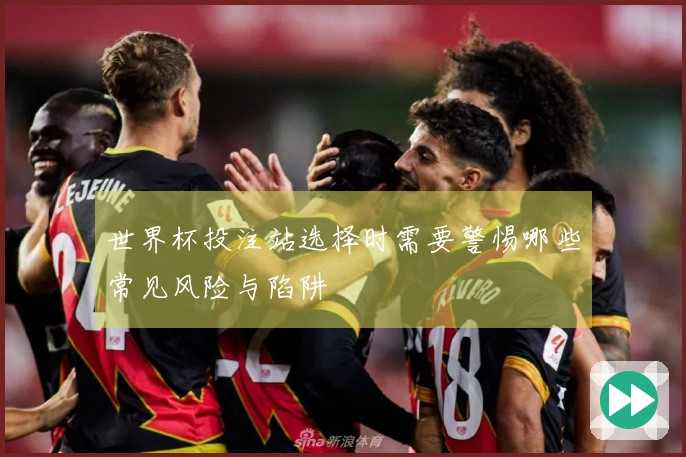 世界杯投注站选择时需要警惕哪些常见风险与陷阱