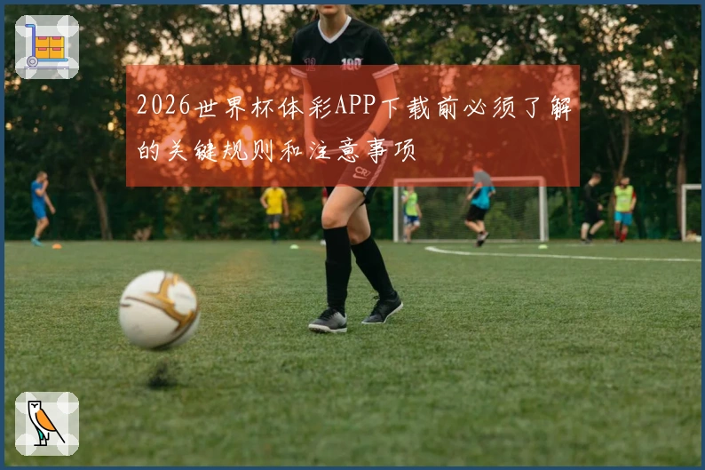 2026世界杯体彩APP下载前必须了解的关键规则和注意事项