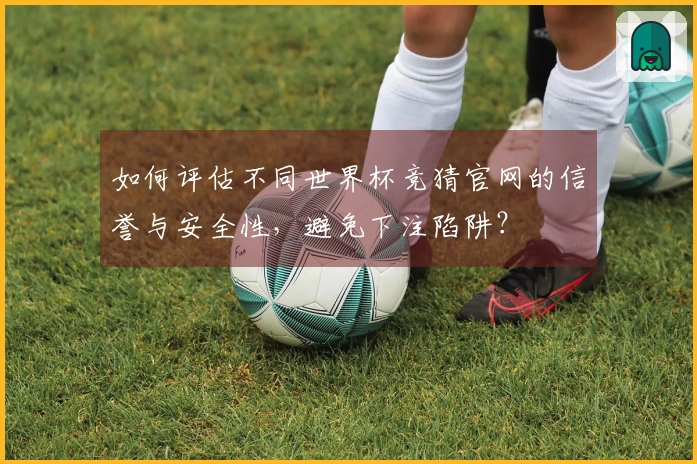 如何评估不同世界杯竞猜官网的信誉与安全性，避免下注陷阱？