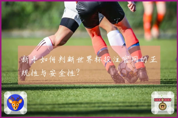 新手如何判断世界杯投注官网的正规性与安全性？