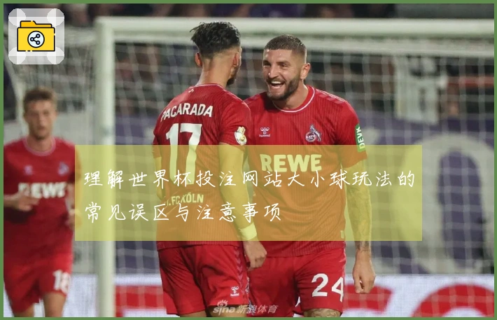 理解世界杯投注网站大小球玩法的常见误区与注意事项