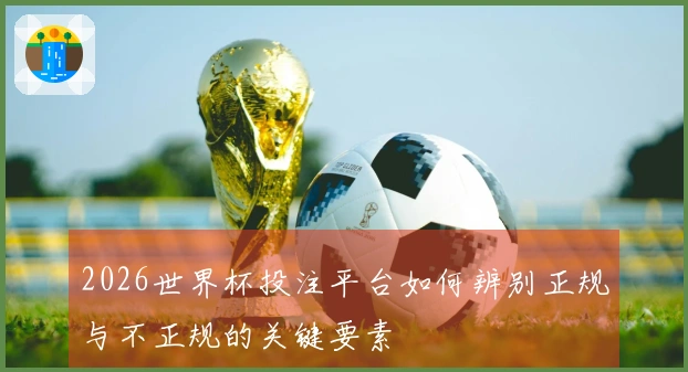 2026世界杯投注平台如何辨别正规与不正规的关键要素