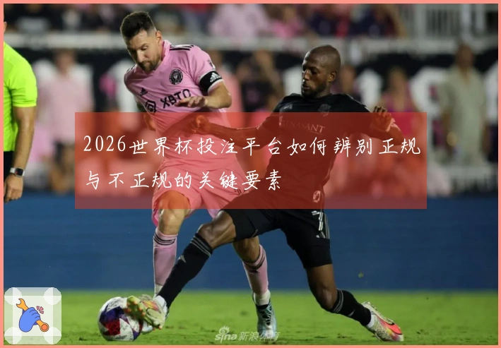 2026世界杯投注平台如何辨别正规与不正规的关键要素