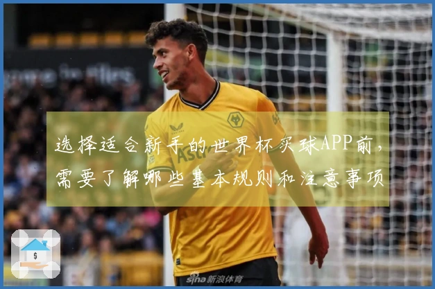 选择适合新手的世界杯买球APP前，需要了解哪些基本规则和注意事项