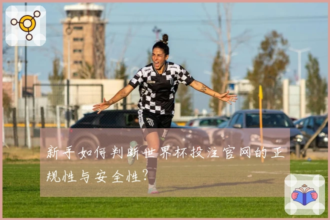 新手如何判断世界杯投注官网的正规性与安全性？