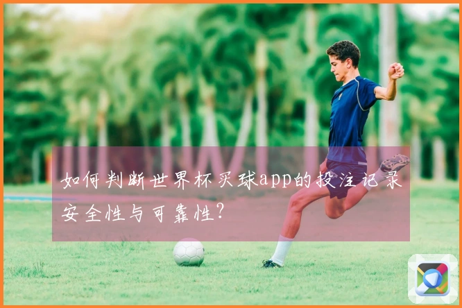 如何判断世界杯买球app的投注记录安全性与可靠性？