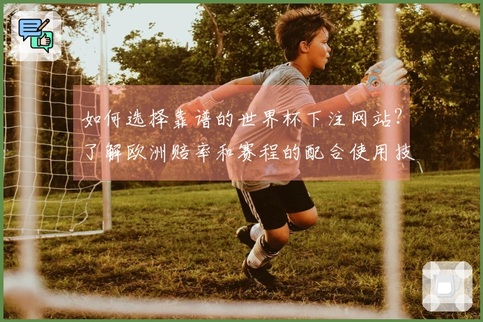 如何选择靠谱的世界杯下注网站？了解欧洲赔率和赛程的配合使用技巧