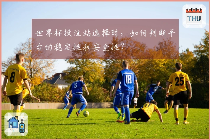 世界杯投注站选择时，如何判断平台的稳定性和安全性？