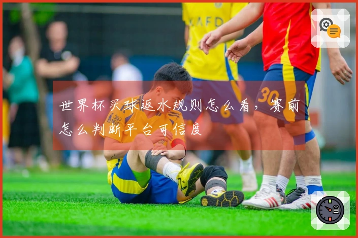 世界杯买球返水规则怎么看，赛前怎么判断平台可信度