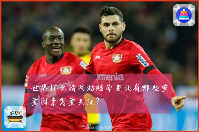 世界杯竞猜网站赔率变化有哪些重要因素需要关注？