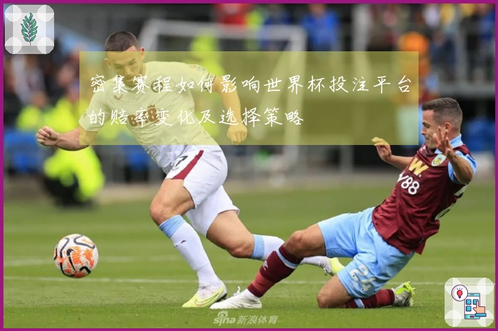 密集赛程如何影响世界杯投注平台的赔率变化及选择策略