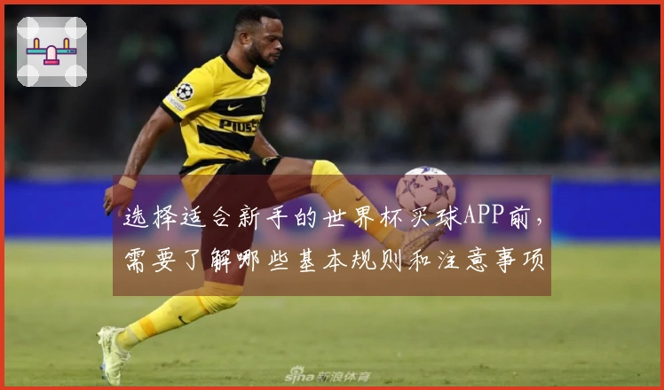 选择适合新手的世界杯买球APP前，需要了解哪些基本规则和注意事项