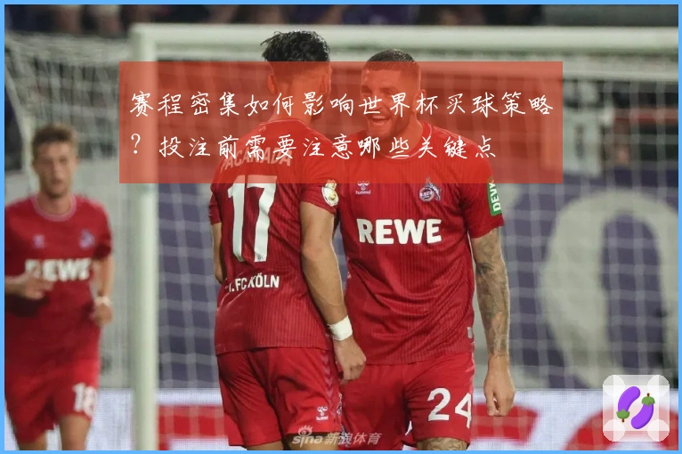 赛程密集如何影响世界杯买球策略?投注前需要注意哪些关键点