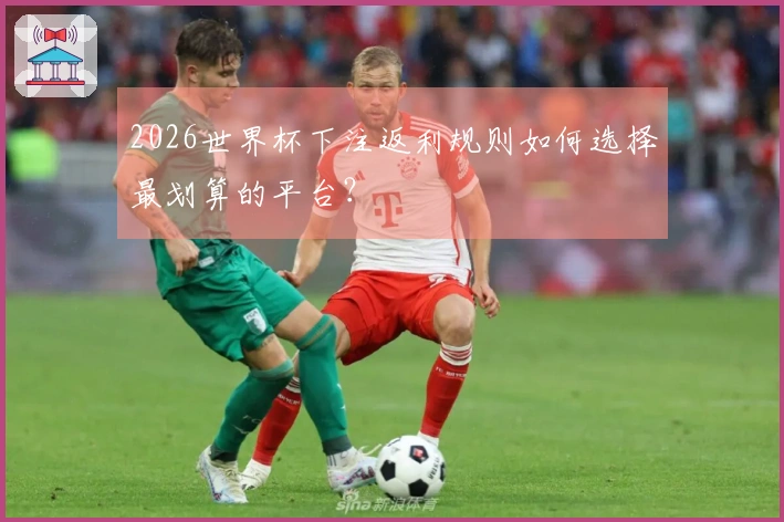2026世界杯下注返利规则如何选择最划算的平台？