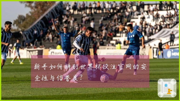 新手如何辨别世界杯投注官网的安全性与信誉度？