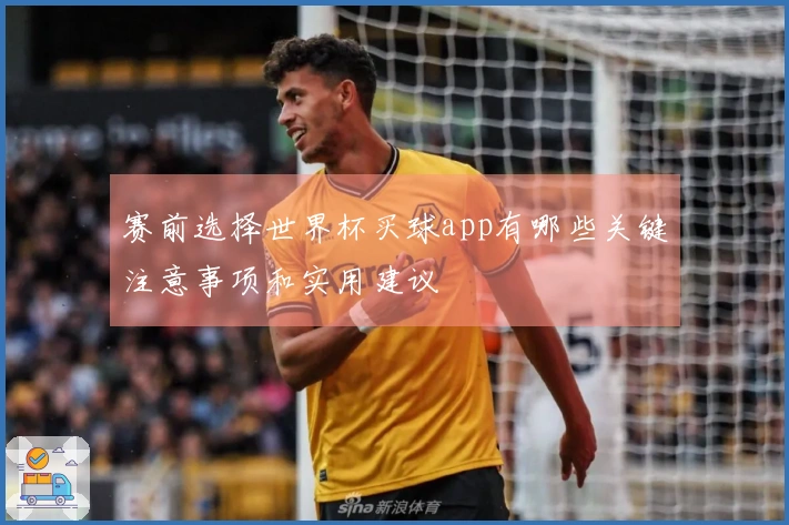 赛前选择世界杯买球app有哪些关键注意事项和实用建议