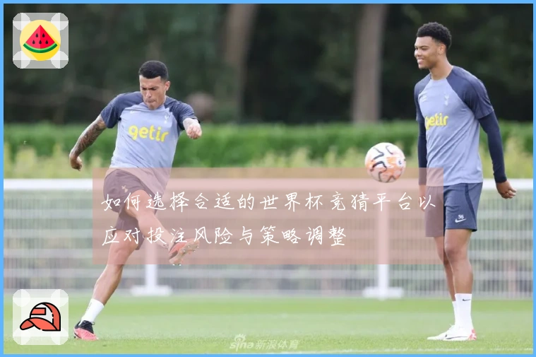 如何选择合适的世界杯竞猜平台以应对投注风险与策略调整