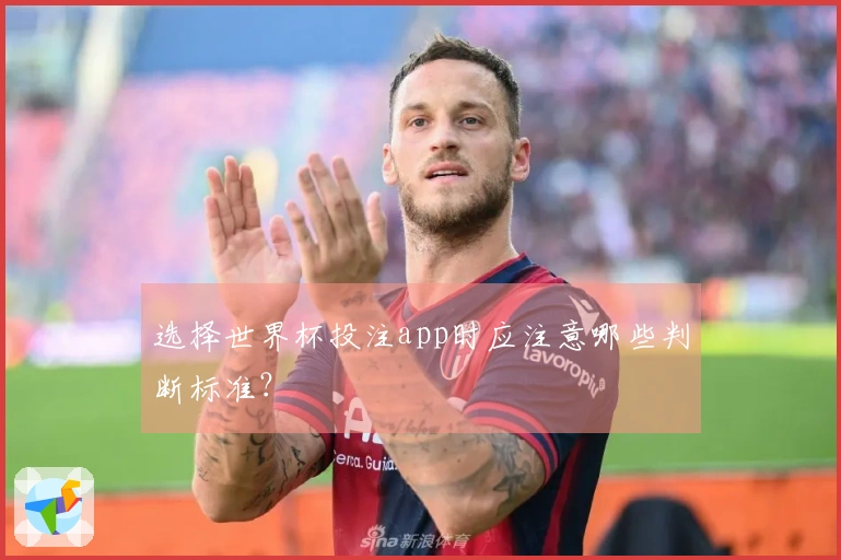 选择世界杯投注app时应注意哪些判断标准?