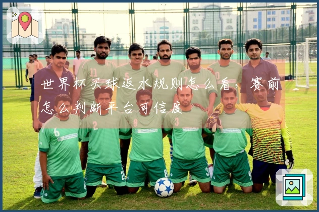 世界杯买球返水规则怎么看，赛前怎么判断平台可信度