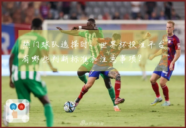 热门球队选择时，世界杯投注平台有哪些判断标准和注意事项？