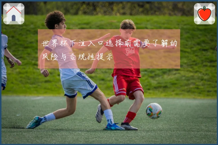 世界杯下注入口选择前需要了解的风险与合规性提示