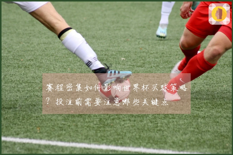 赛程密集如何影响世界杯买球策略？投注前需要注意哪些关键点