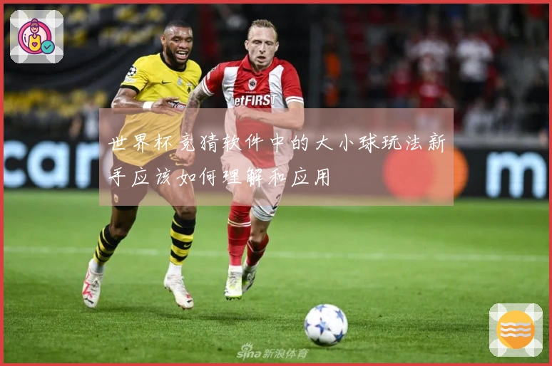 世界杯竞猜软件中的大小球玩法新手应该如何理解和应用