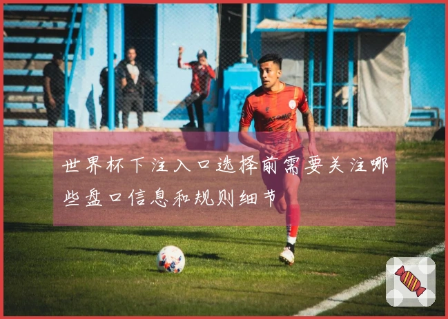 世界杯下注入口选择前需要关注哪些盘口信息和规则细节