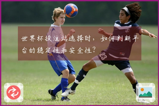 世界杯投注站选择时，如何判断平台的稳定性和安全性？