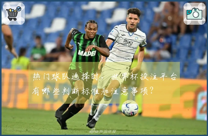 热门球队选择时，世界杯投注平台有哪些判断标准和注意事项？