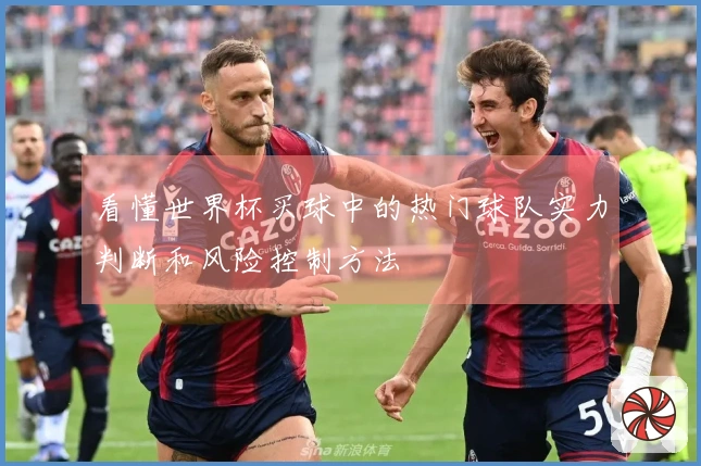 看懂世界杯买球中的热门球队实力判断和风险控制方法