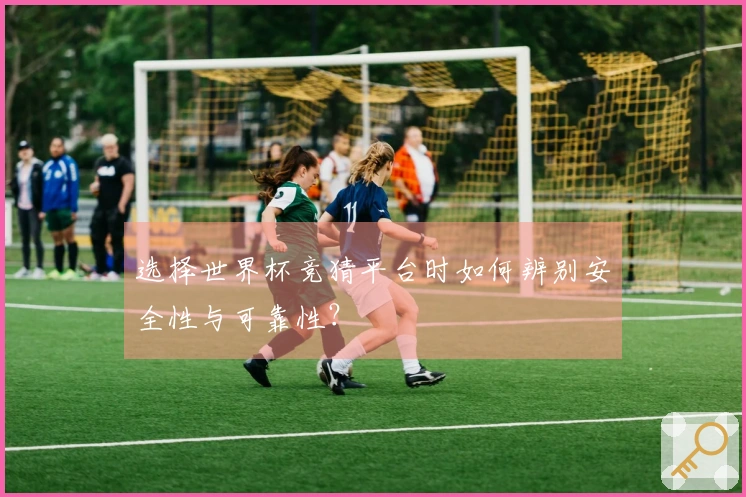 选择世界杯竞猜平台时如何辨别安全性与可靠性？